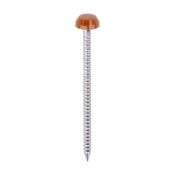 40x2.1 Polymer Headed Pin A4 Clay Brown (Head Diameter 6.2) Pack 250