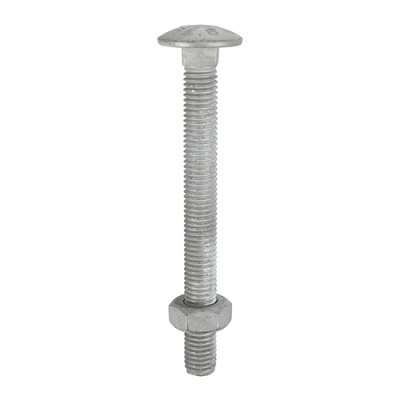 M8x150 Carriage Bolt & Nut DIN 603 Hot Dipped Galvanised Gr.4.8 Pack 25