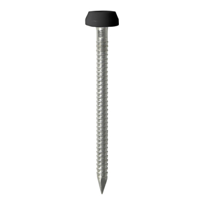30x2.1 Polymer Headed Pin A4 Black (Head Diameter 6.2) Pack 60