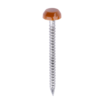 30x2.1 Polymer Headed Pin A4 Clay Brown (Head Diameter 6.2) Pack 250