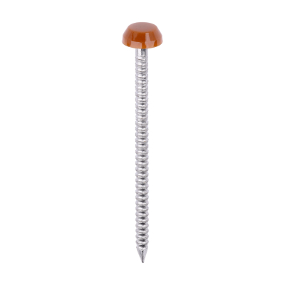 40x2.1 Polymer Headed Pin A4 Clay Brown (Head Diameter 6.2) Pack 250